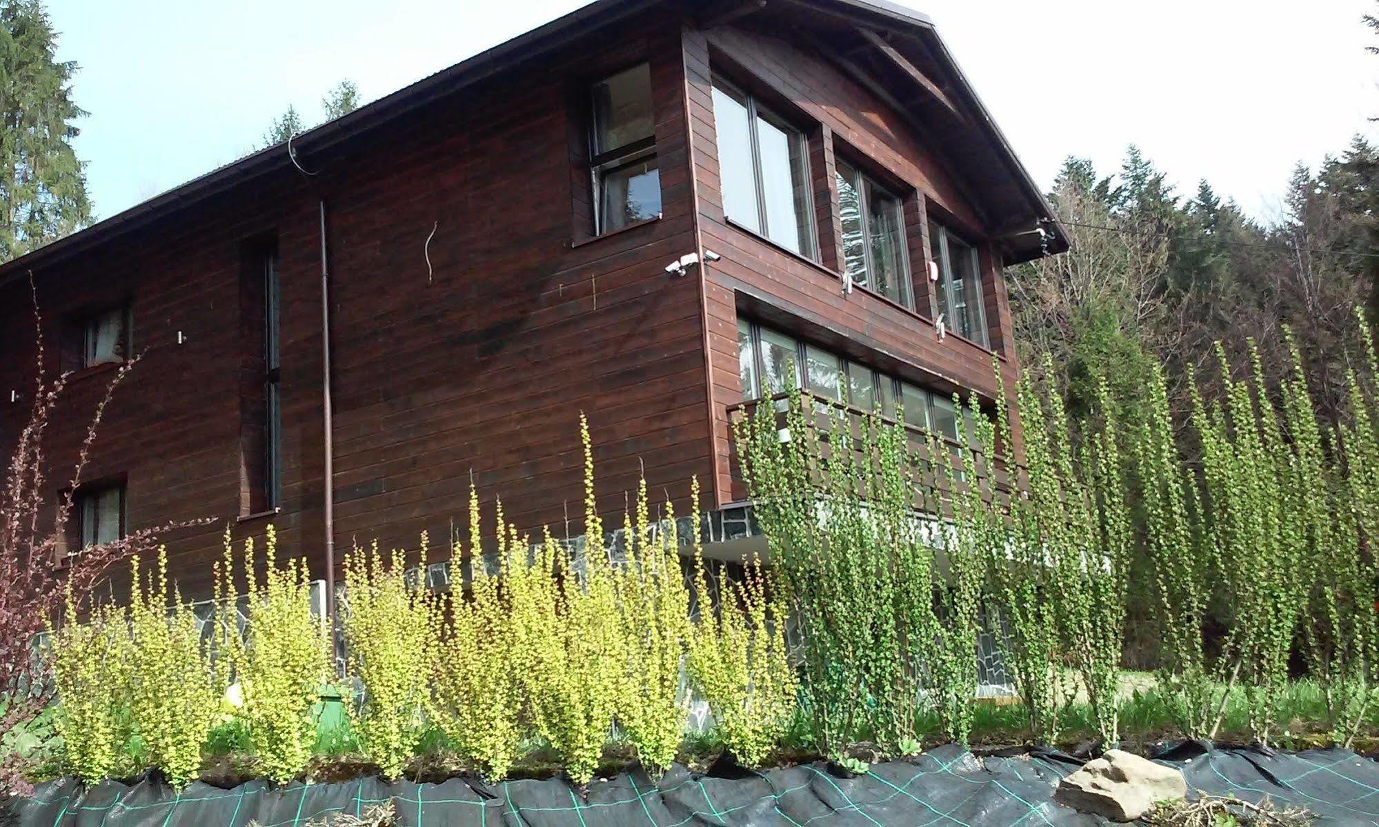 Karolinka Guest House Щирк Екстериор снимка